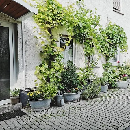 Hotel Meuser